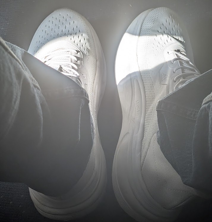 shoe